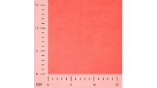Bamboo Wellness - Coral
