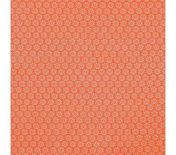 Minimals "Daisy" - Daisy, Orange/White
