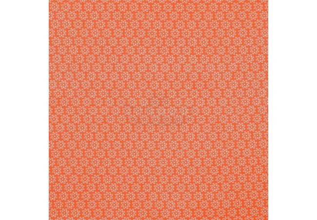 Minimals "Daisy" - Daisy, Orange/White