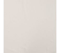 Viscose Twill P/D - Ecru