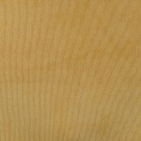 21w Pa Cord - Corn