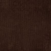 21w Pa Cord - Brown/Bordeaux