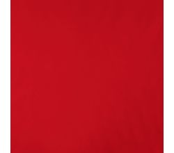 Memory Angela - Red