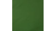 Memory Angela - Apple Green