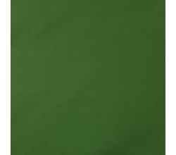 Memory Angela - Apple Green