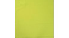 Moss Crepe - Lime