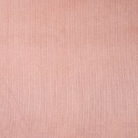 6 Wales Corduroy - Nude