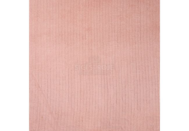 6 Wales Corduroy - Nude