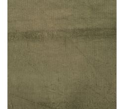 6 Wales Corduroy - Khaki