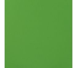Gianni - Kiwi