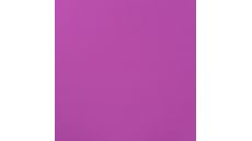 Gianni - Violet (Phlox)