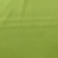 Viscose Satin 23 - Green