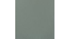 Organic Cotton Fleece - Dusty Mint