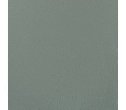 Organic Cotton Fleece - Dusty Mint
