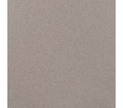 Organic Cotton Fleece - Taupe Melange