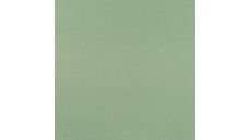 Gots Organic Cotton Fleece - Dusty Green