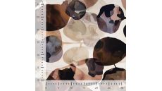 Viscose/EA Heavy Digi Print - Champagne