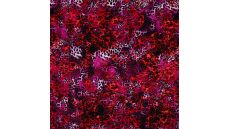 French Terry Digi Print - Red