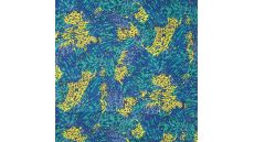 Viscose Chally - Royal