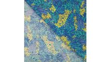 Viscose Chally - Royal