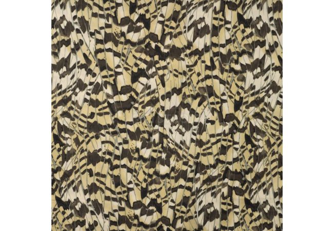 Satin Viscose - Feathers, Khaki