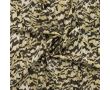 Satin Viscose - Feathers, Khaki