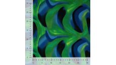 Punta Soft Print - Female Camouflage, Royal