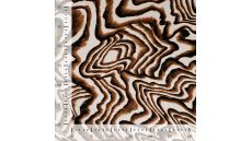 Viscose Stretch Print - Zebra Brush Strokes, Sand