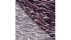 Viscose Twill Print - Leopard, Lilac
