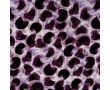 Rayon Spun Satin Print - Circles & Strokes, Lilac