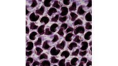 Rayon Spun Satin Print - Circles & Strokes, Lilac