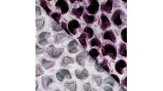 Rayon Spun Satin Print - Circles & Strokes, Lilac