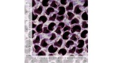 Rayon Spun Satin Print - Circles & Strokes, Lilac