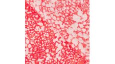 Viscose Crincle - Fancy, Red