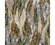 Cotton/Sp Sateen Print - Leaves, Khaki
