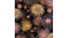 Viscose/Sp Jersey Print - Fireworks, Cognac