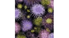 Viscose/Sp Jersey Print - Fireworks, Purple