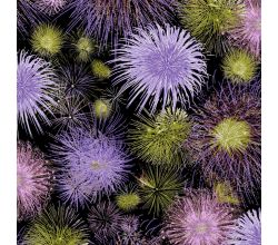 Viscose/Sp Jersey Print, Fireworks, Purple