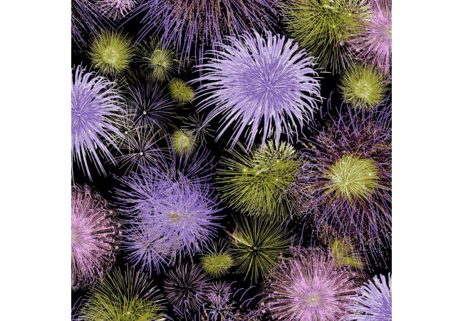 Viscose/Sp Jersey Print - Fireworks, Purple