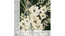 100% Viscose Print - Langgerold