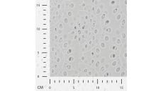 Cotton Embroidery De Luxe - White