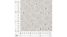 Cotton Embroidery De Luxe - Ecru