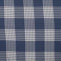 Fancy 2 Tone Check Jiska - Denim White