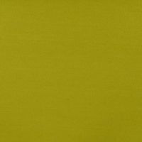 Roberto - Olive