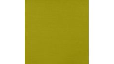 Roberto - Olive