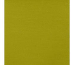 Roberto - Olive