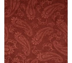 21w Pa Cord Embossed - Terra