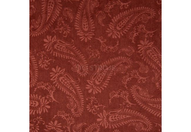 21w Pa Cord Embossed - Terra