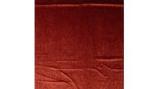 Velour Kitty - Wine