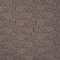 Lace Kinda - Taupe